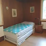 Traditional Swiss-flat אינטרלאקן