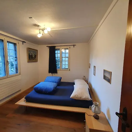 Apartment Traditional Swiss-flat