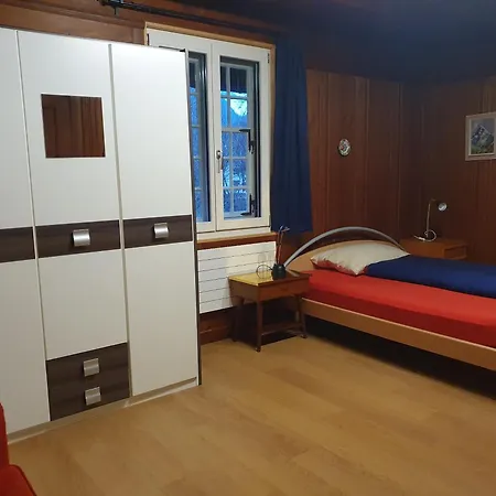 Apartment Traditional Swiss-flat