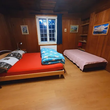 Traditional Swiss-flat Apartment