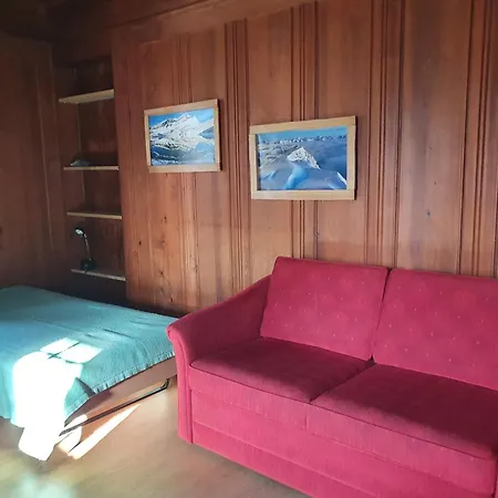 Traditional Swiss-flat Apartment