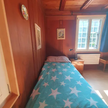 شقة Traditional Swiss-flat إنترلاكن