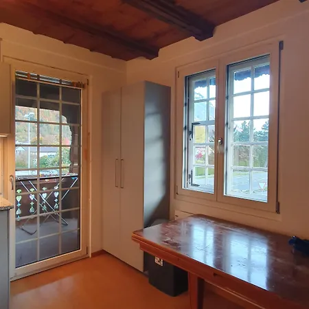 Traditional Swiss-flat 公寓 *