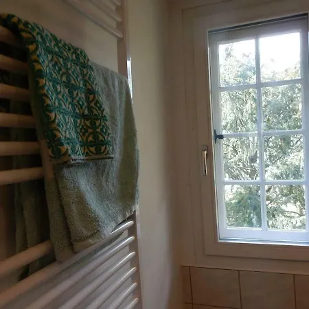 Traditional Swiss-flat Apartment *