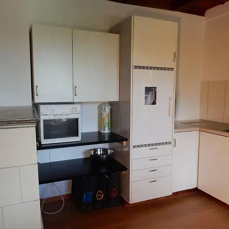Apartment Traditional Swiss-flat