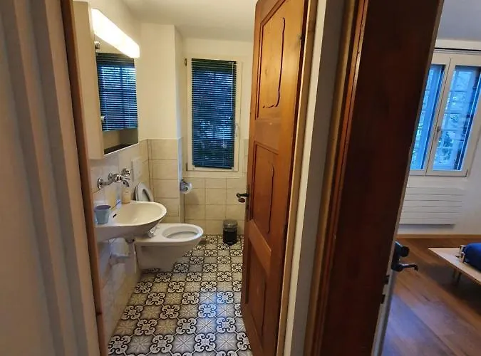 Traditional Swiss-flat شقة