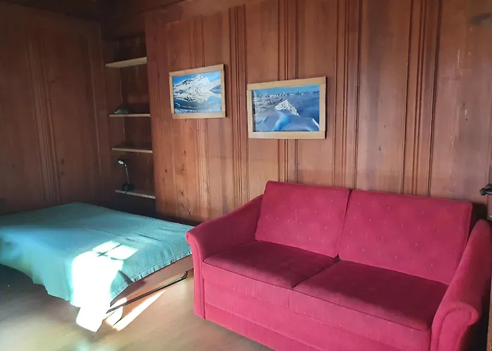 Traditional Swiss-flat شقة