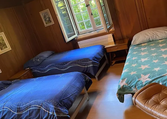 Appartement Traditional Swiss-flat