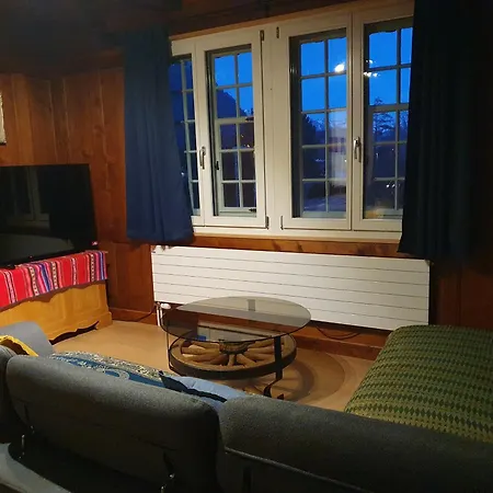Traditional Swiss-flat Daire