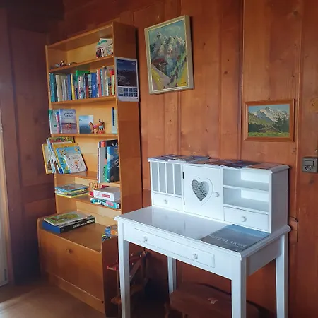 Traditional Swiss-flat Apartamento Interlaken