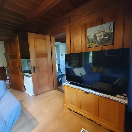 Traditional Swiss-flat Апартаменты *