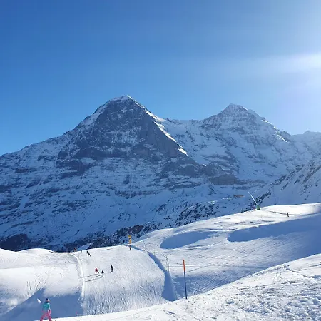 Traditional Swiss-flat * Интерлакен