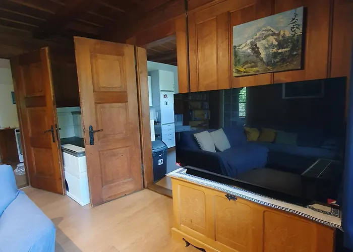 Traditional Swiss-flat Апартаменты *