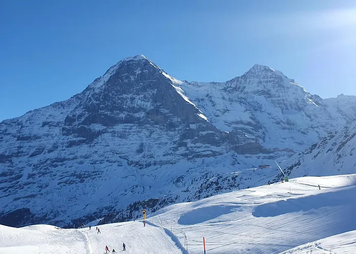 Traditional Swiss-flat * Интерлакен