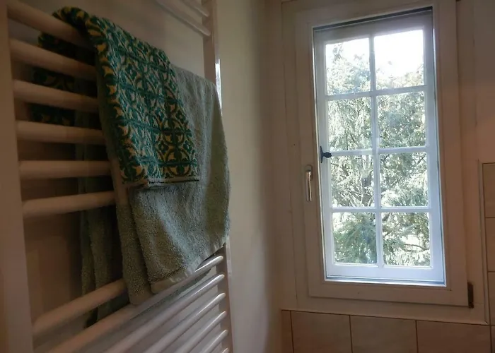 Traditional Swiss-flat Апартаменты *