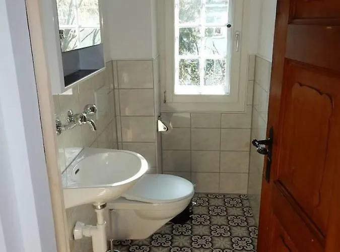 Traditional Swiss-flat Интерлакен